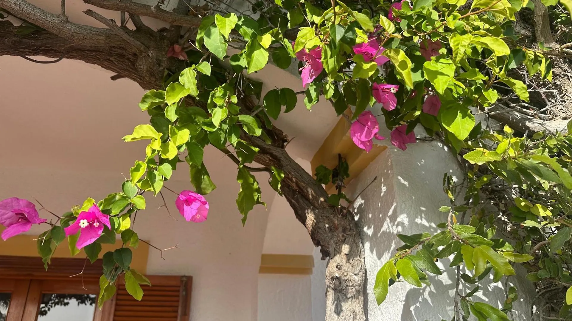 Bed & Breakfast Casa Hermosa Mijas